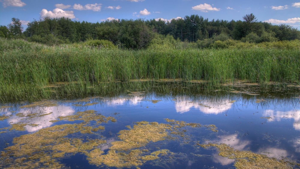 Zippel Bay State Park on Lake of the Woods, Minnesota