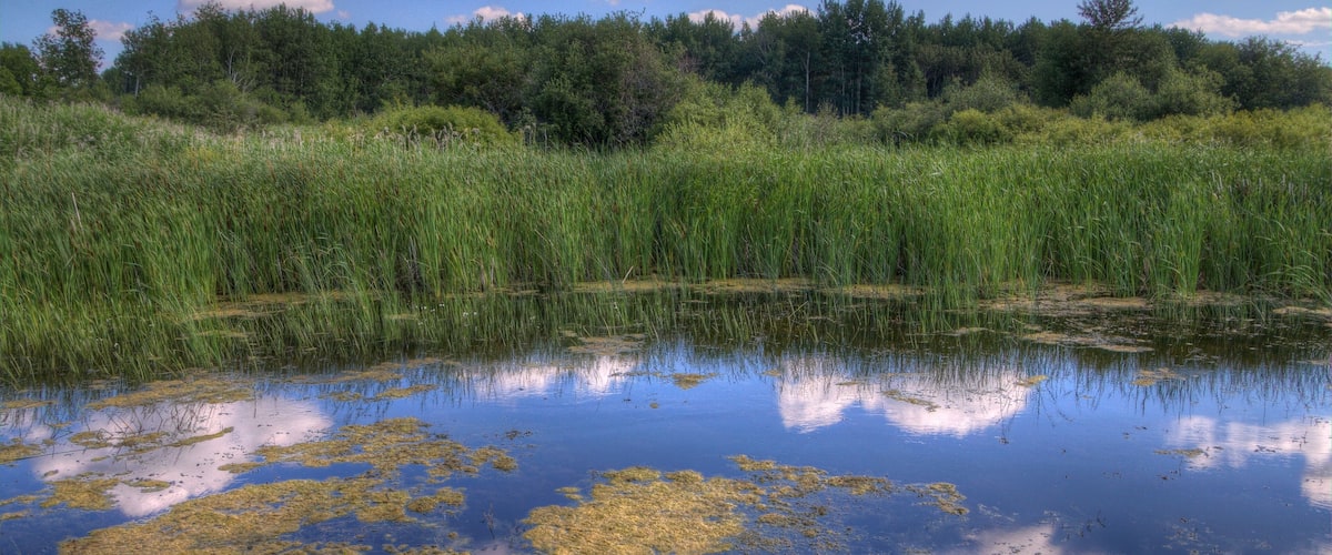 Zippel Bay State Park on Lake of the Woods, Minnesota