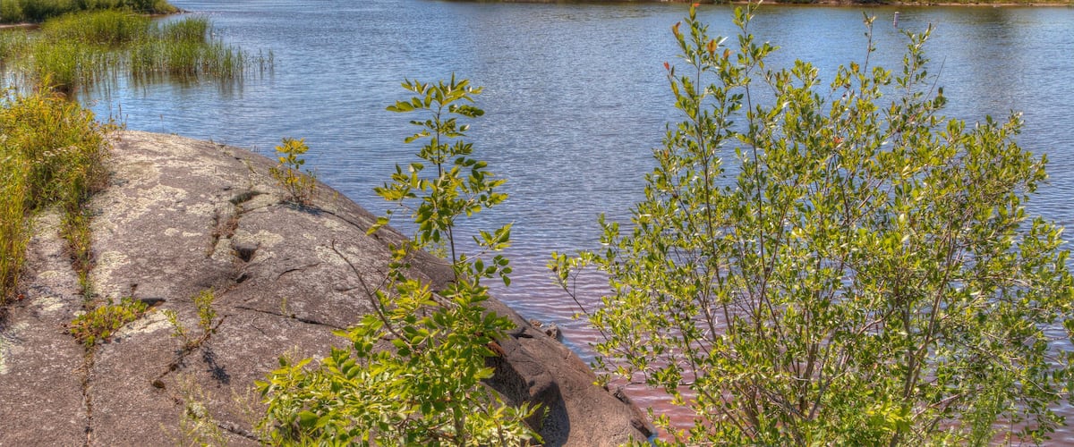 A calm river with a rocky shore and green vegetation.