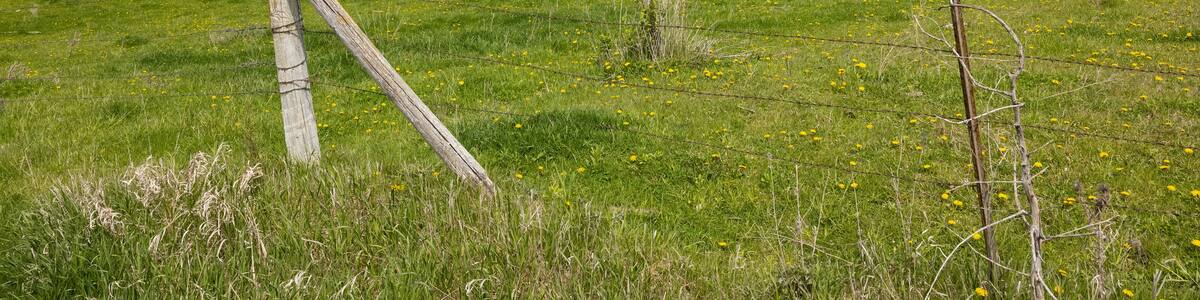 Old Wooden Round Barn