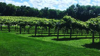 Great wine, exceptional cheese and beautiful people.