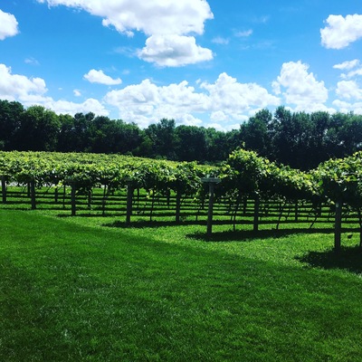 Great wine, exceptional cheese and beautiful people.