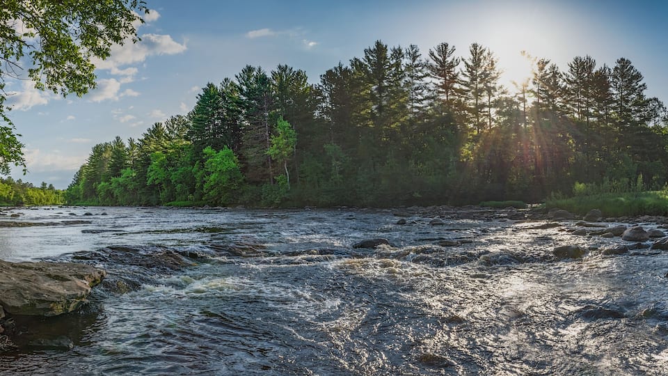 A river flowing through a forest with sunlight filtering through the trees.