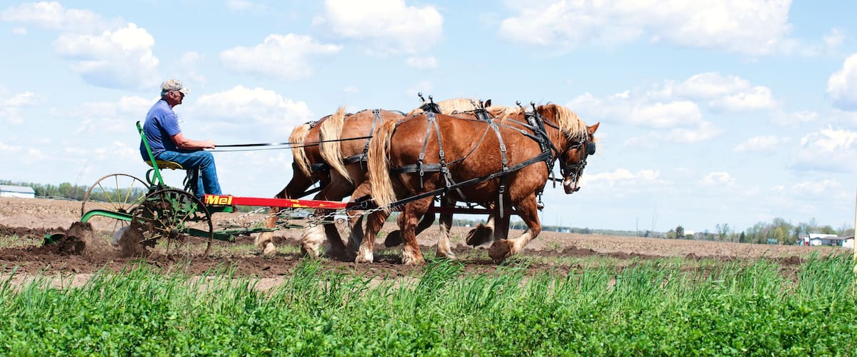 A man driving a horse-drawn plow through a field.