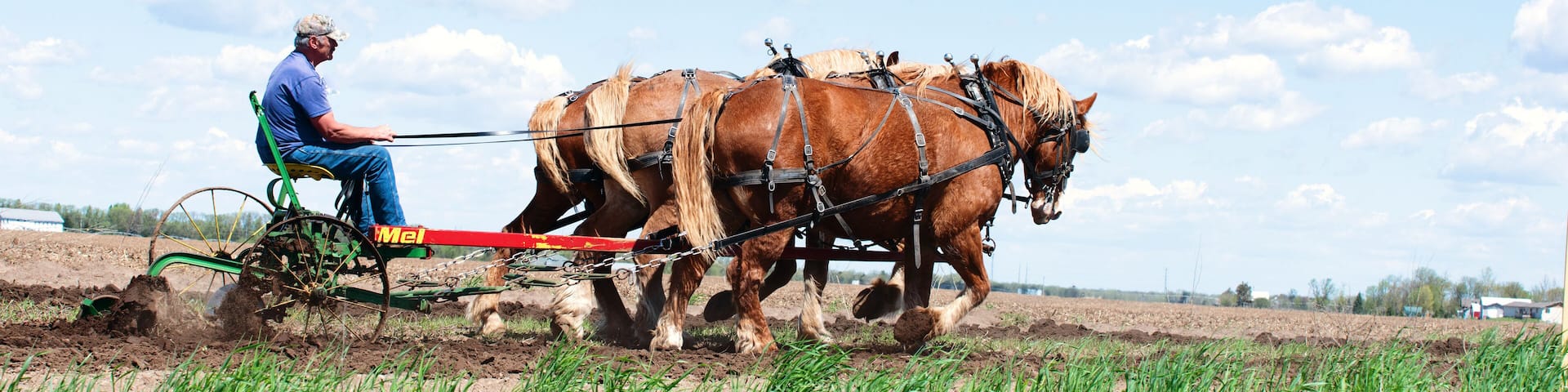 A man driving a horse-drawn plow through a field.