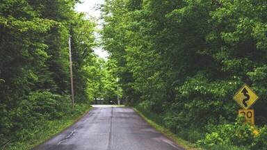 I used to live on this road back when I was in elementary school. It was great to visit a place I had lived and see it with adult eyes. My own trip down memory lane.