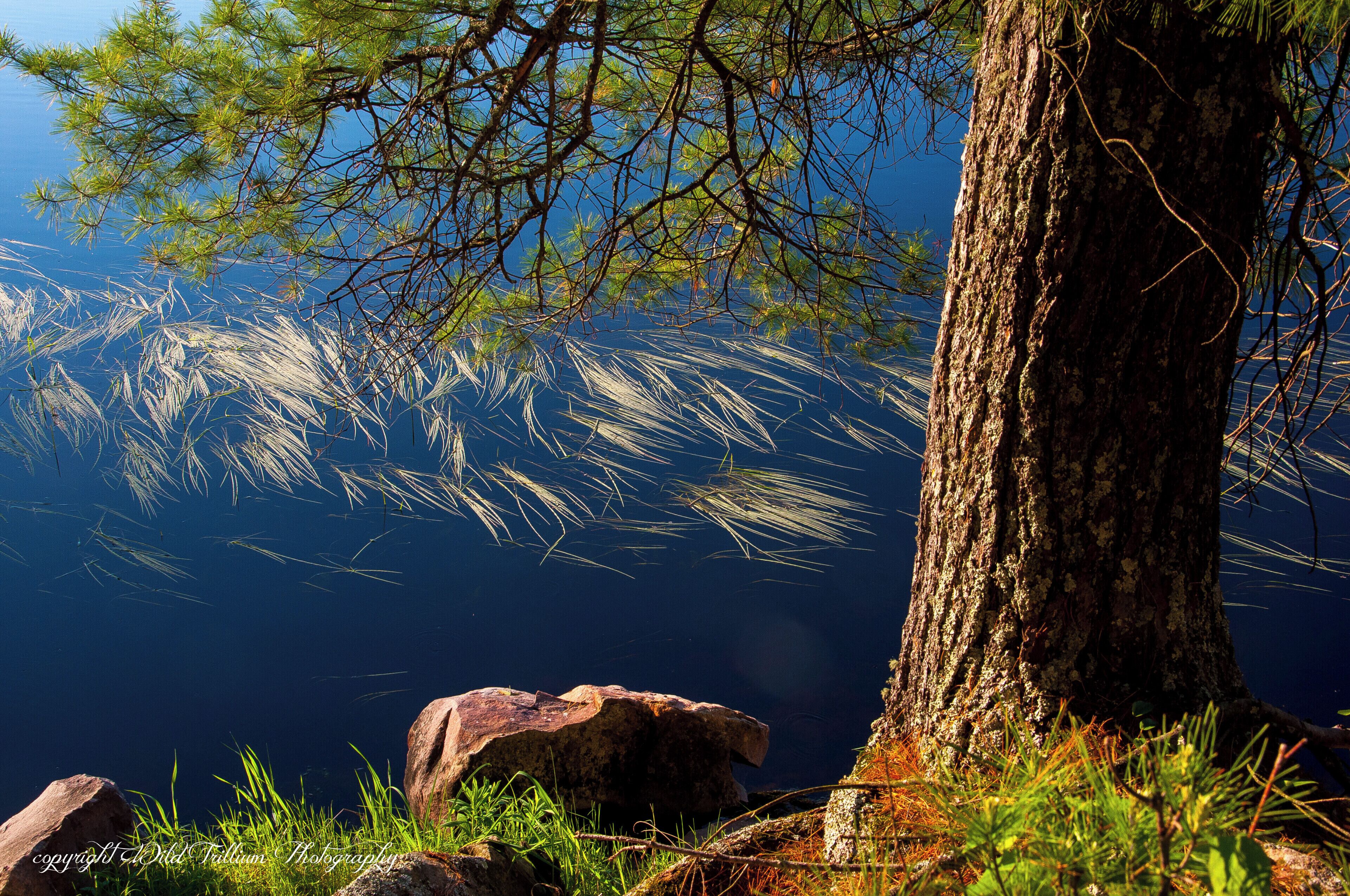 Gorgeous evening views and sunsets from the trail that begins once you cross over the dam and go across the railroad tracks.