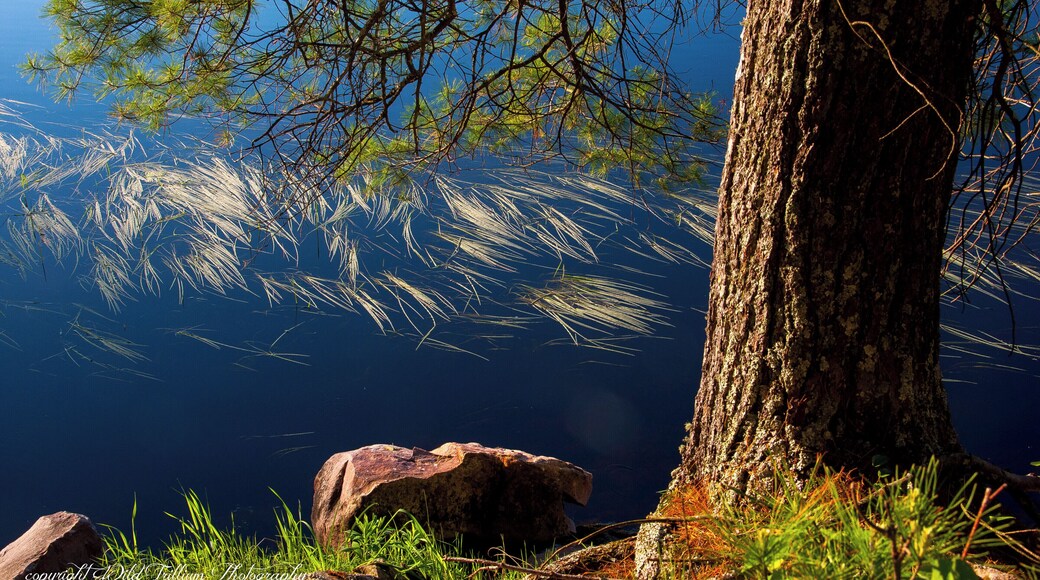 Gorgeous evening views and sunsets from the trail that begins once you cross over the dam and go across the railroad tracks.