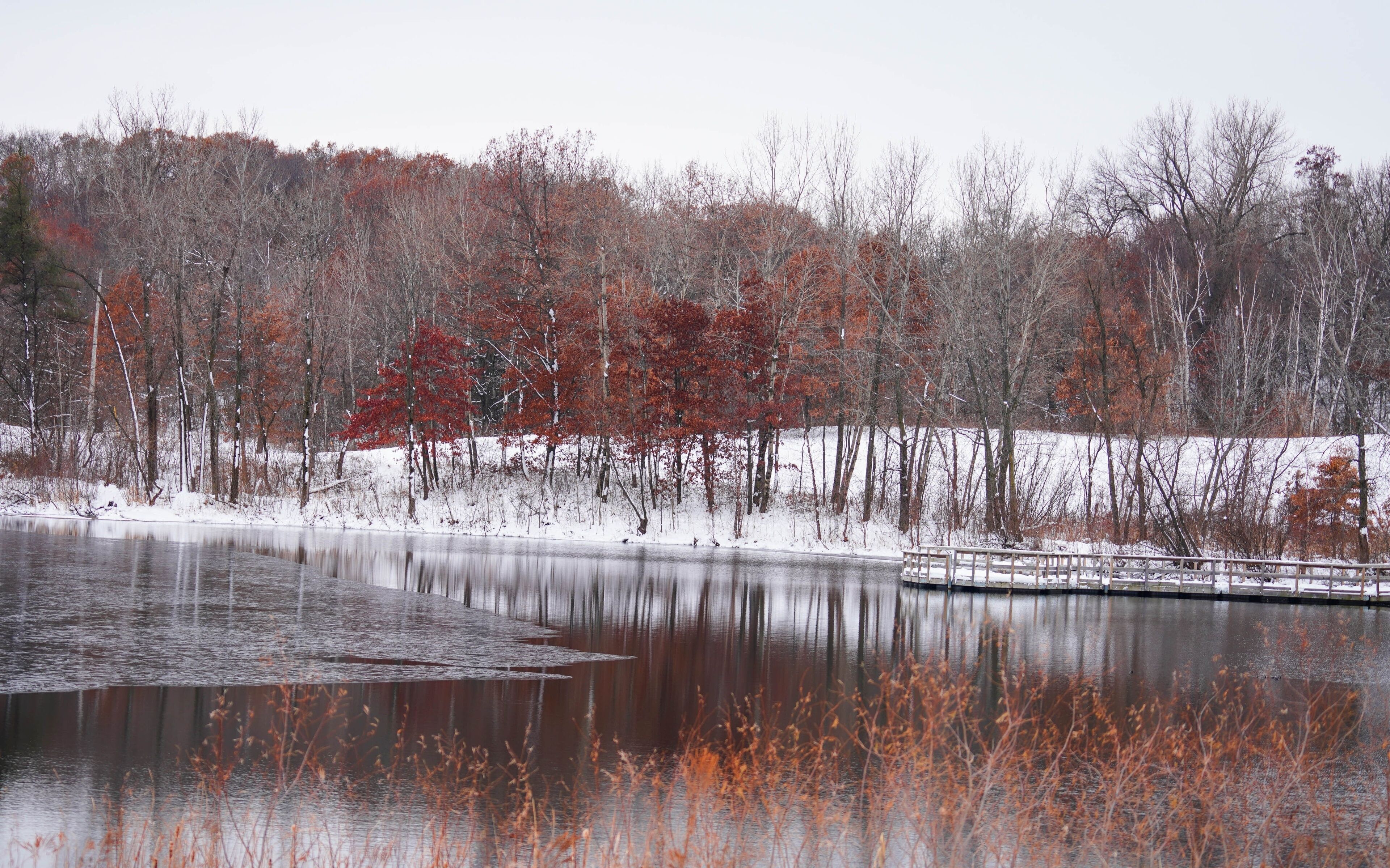 A frozen lake with red autumn leaves, a wooden dock, and a forest in the background.