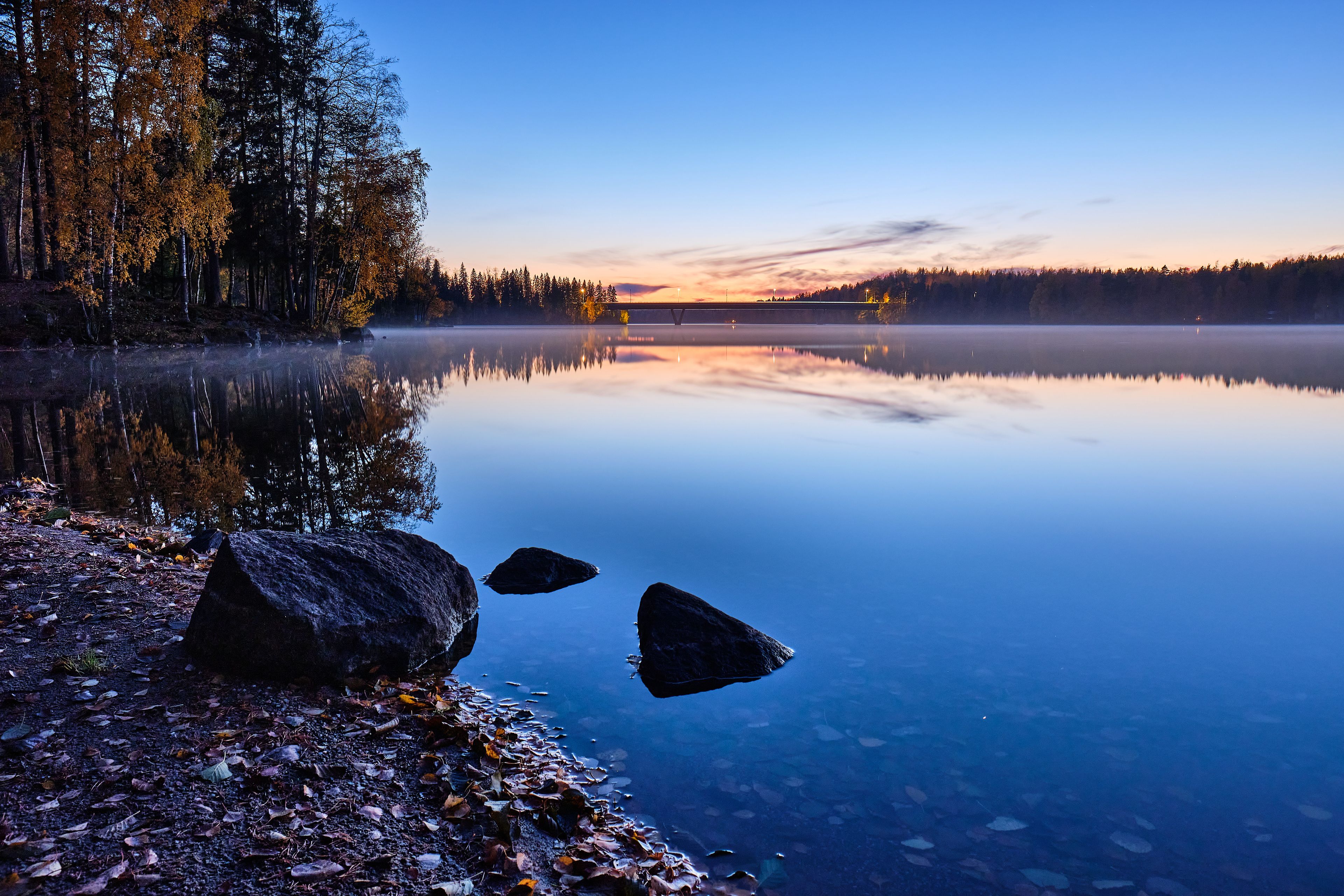 Foggy autumn calm lake 