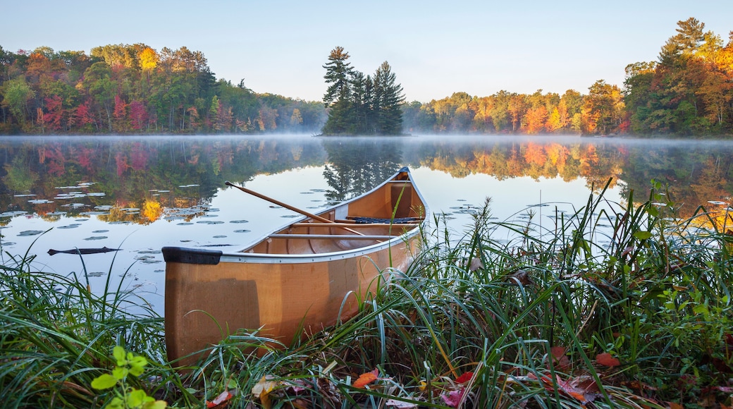 Yellow canoe on shore of calm lake with island and trees in fall color in northern Minnesota