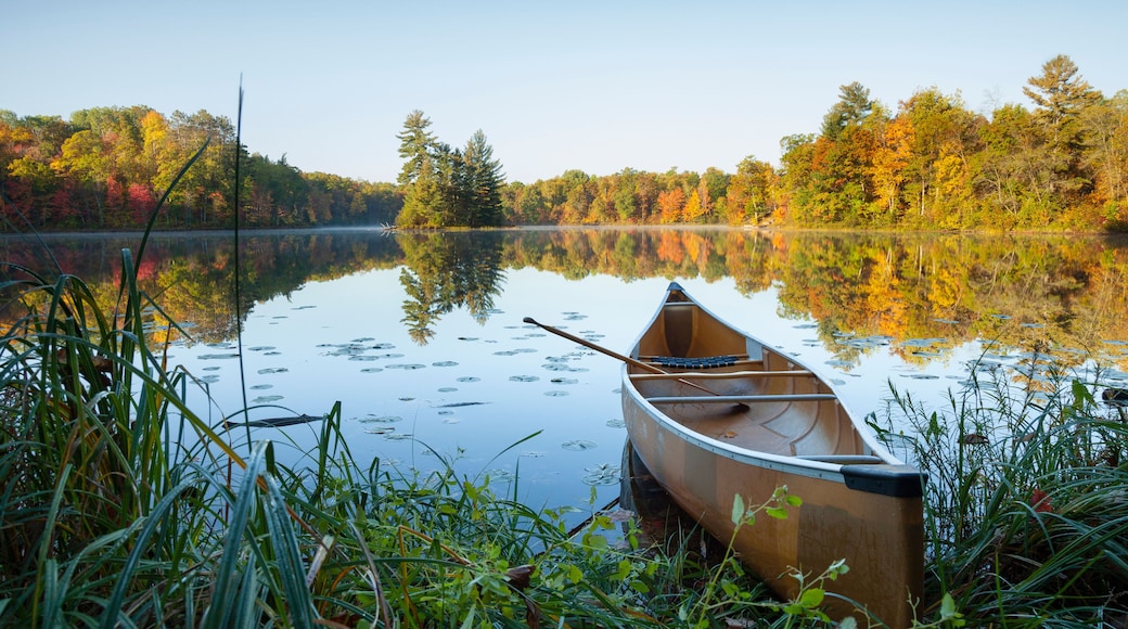 Canoe with paddle on shore of beautiful lake with island in northern Minnesota at dawn