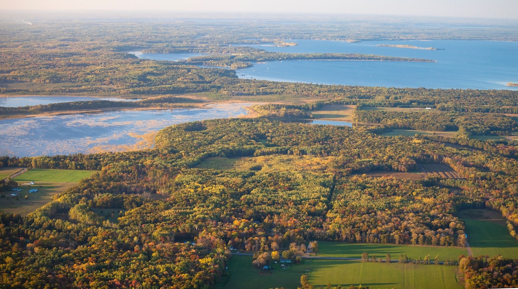 Aerial view of fields and trees in autumn color and lakes near Brainerd Minnesota