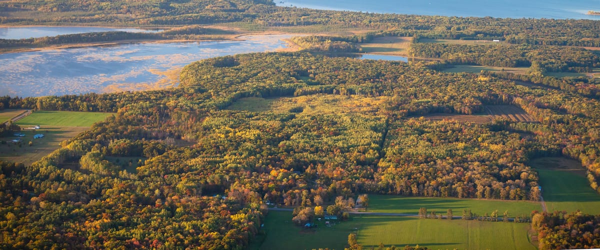 An aerial view of a coastal landscape with dense forests, a large body of water, and several small islands.
