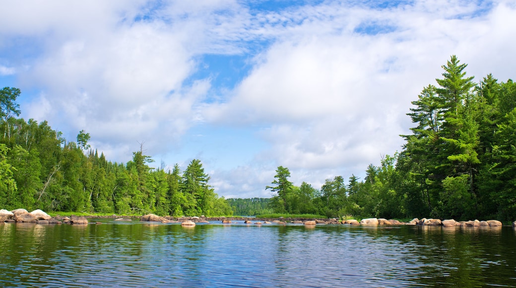 newton lake, bwcaw, minnesota