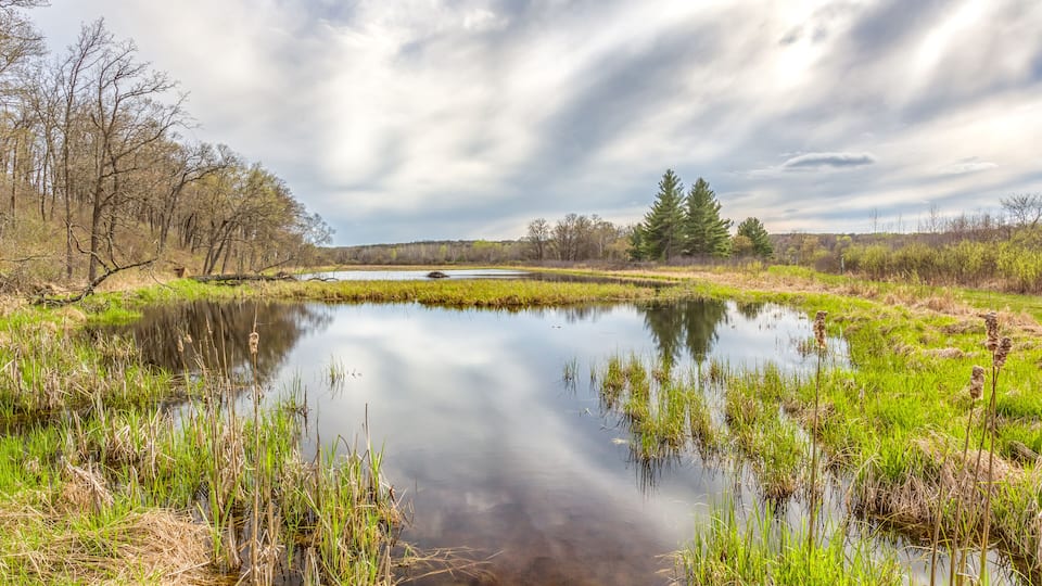 Storm Forming Over the Marsh in Spring