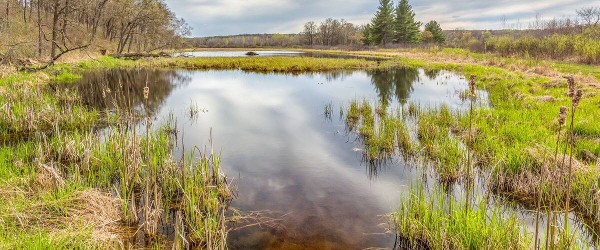 A calm pond surrounded by grass and trees under a cloudy sky.