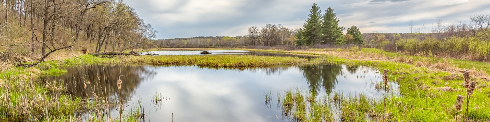 A calm pond surrounded by grass and trees under a cloudy sky.