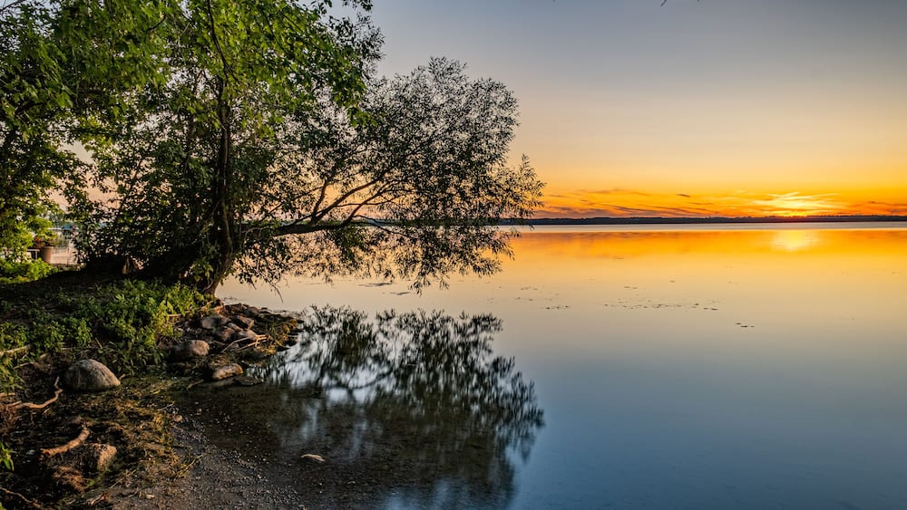A calm lake at sunset with trees reflecting on the water's surface.
