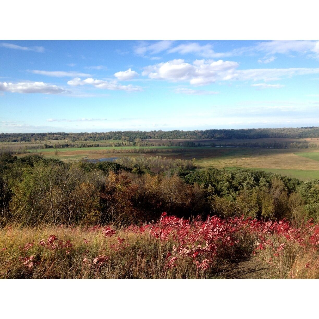 Scenic Overlook of the Minnesota River Valley in autumn.