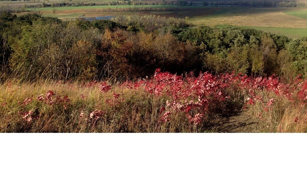 Scenic Overlook of the Minnesota River Valley in autumn.