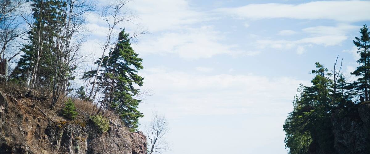 A rocky coastline with dense coniferous trees and calm sea.