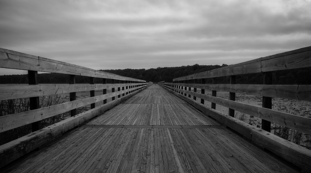 Dower Lake Fishing pier. I took this photo while traveling a few weeks ago. Part of a neat recreation area just off the highway by Staples, MN.