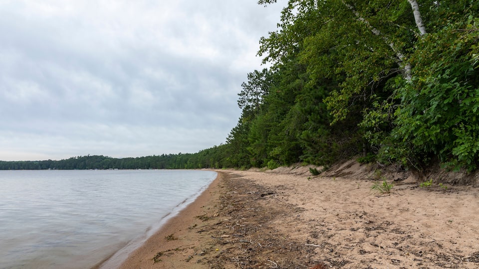 A sandy beach with trees and a calm body of water.