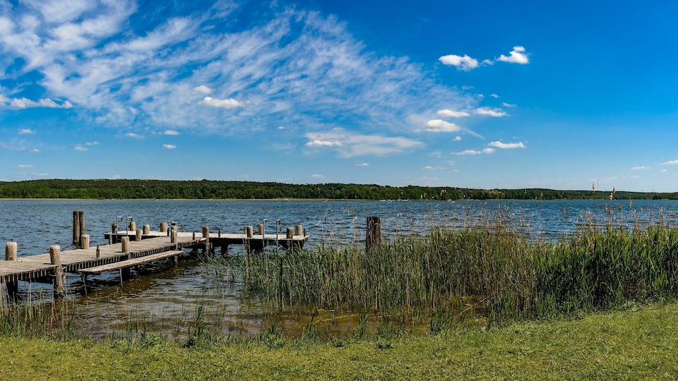 A wooden pier extending into a calm lake, surrounded by lush greenery and a clear blue sky.