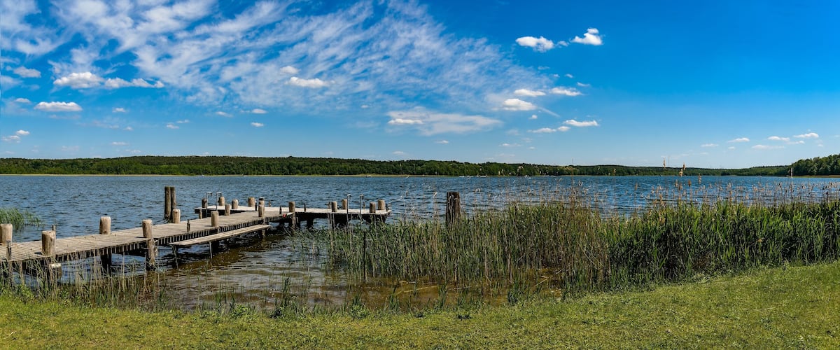 A wooden pier extending into a calm lake, surrounded by lush greenery and a clear blue sky.