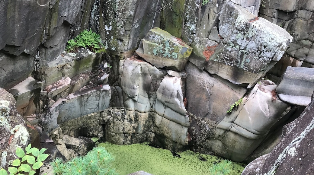 Really cool pot holes that formed in Taylor Falls International State Park!