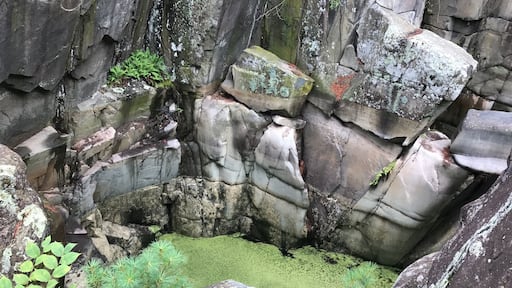Really cool pot holes that formed in Taylor Falls International State Park!