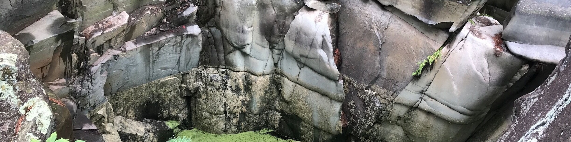 Really cool pot holes that formed in Taylor Falls International State Park!