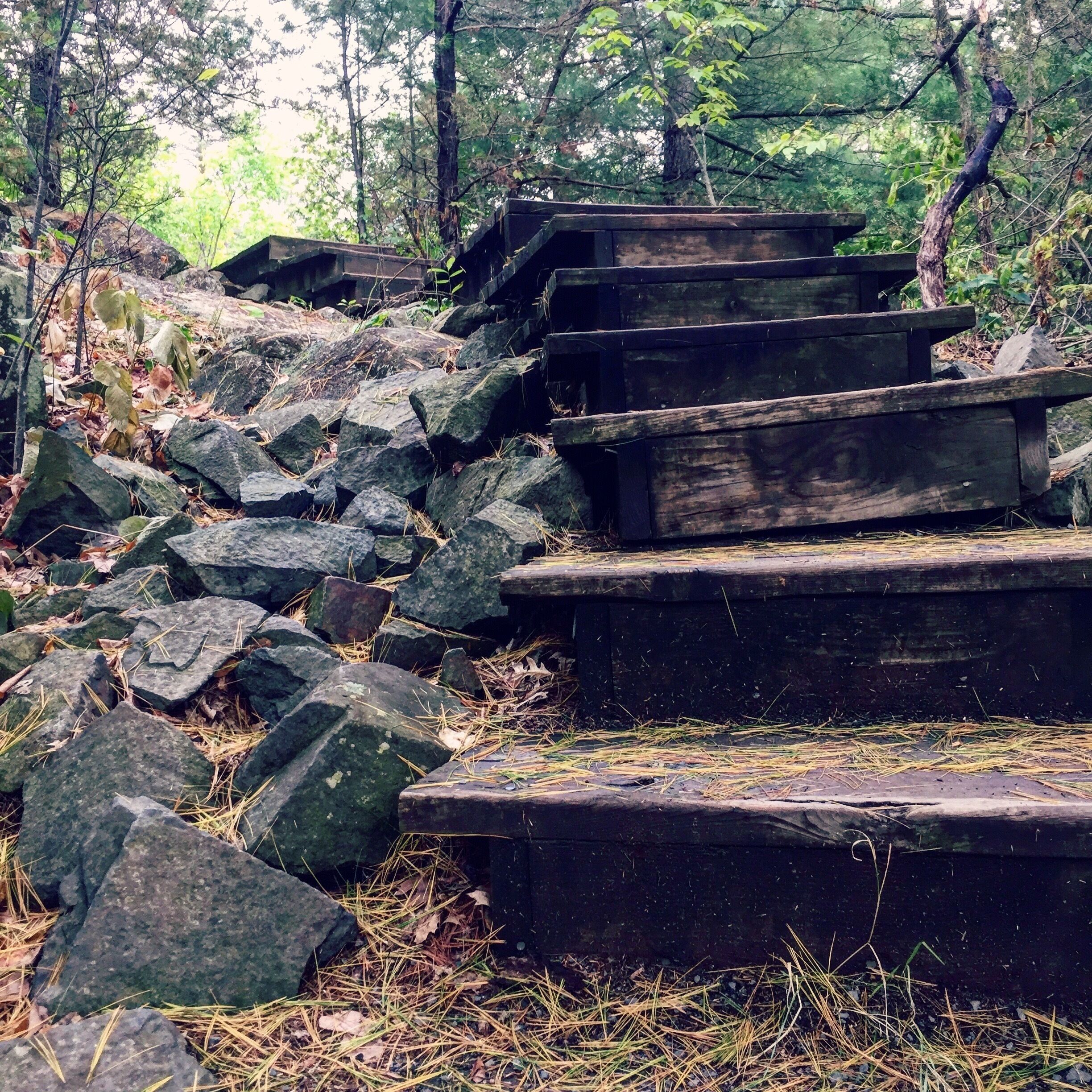 Interstate Park in Taylor Falls, MN