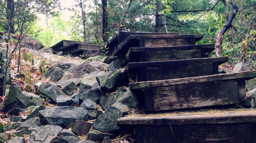 Interstate Park in Taylor Falls, MN