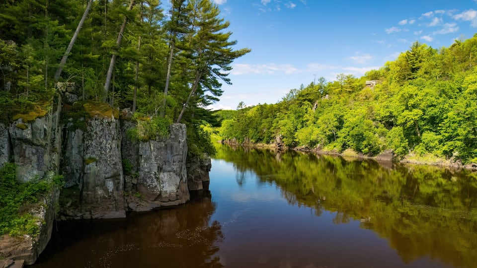 A calm river with dense green forest on both sides.