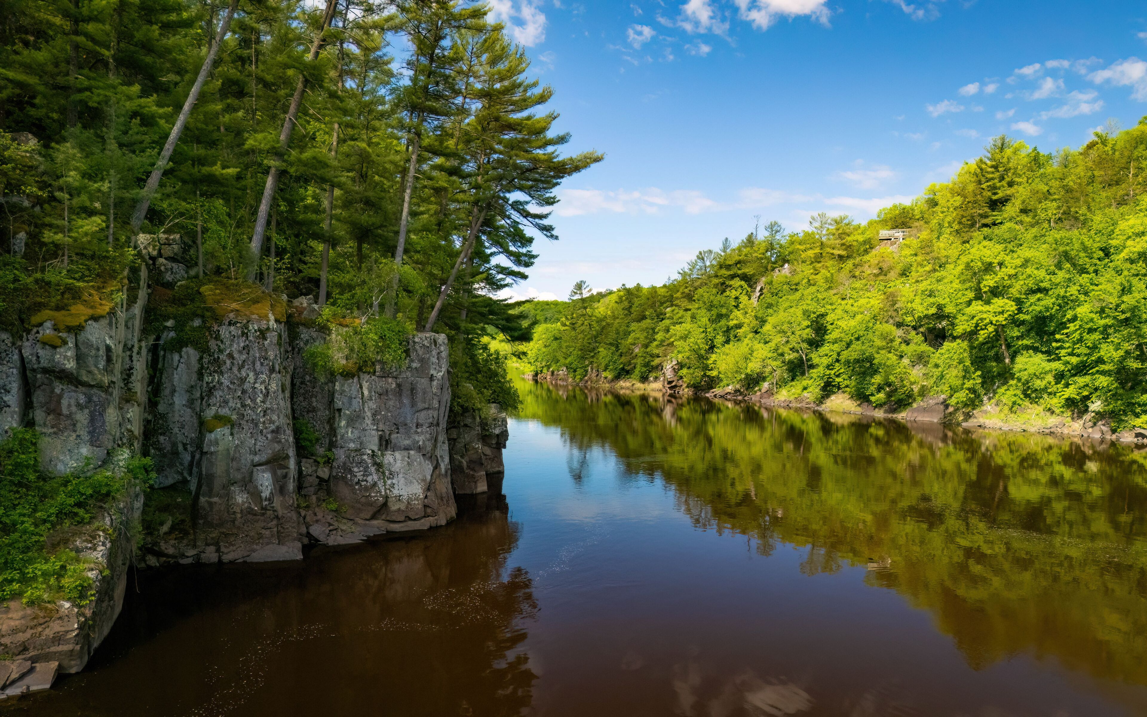 A calm river with dense green forest on both sides.