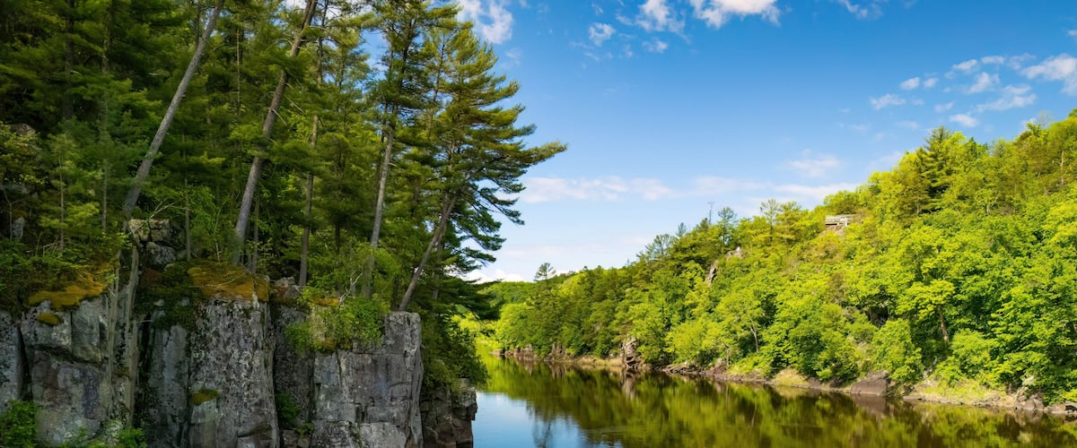 A calm river with dense green forest on both sides.