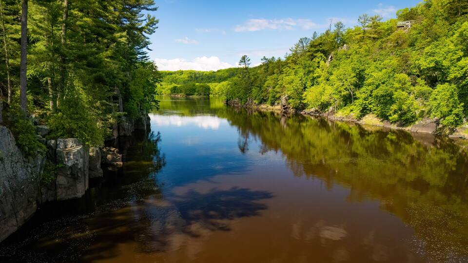 A calm river surrounded by dense green forest and rocky cliffs.