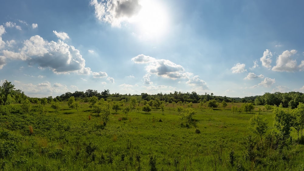 Panoramic Shot of Southern Minnesota Prairie on Partially Cloudy Day