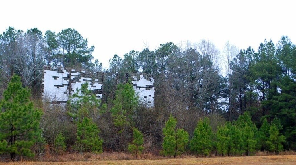What used to be a screen for a drive in theater in Amory, MS.