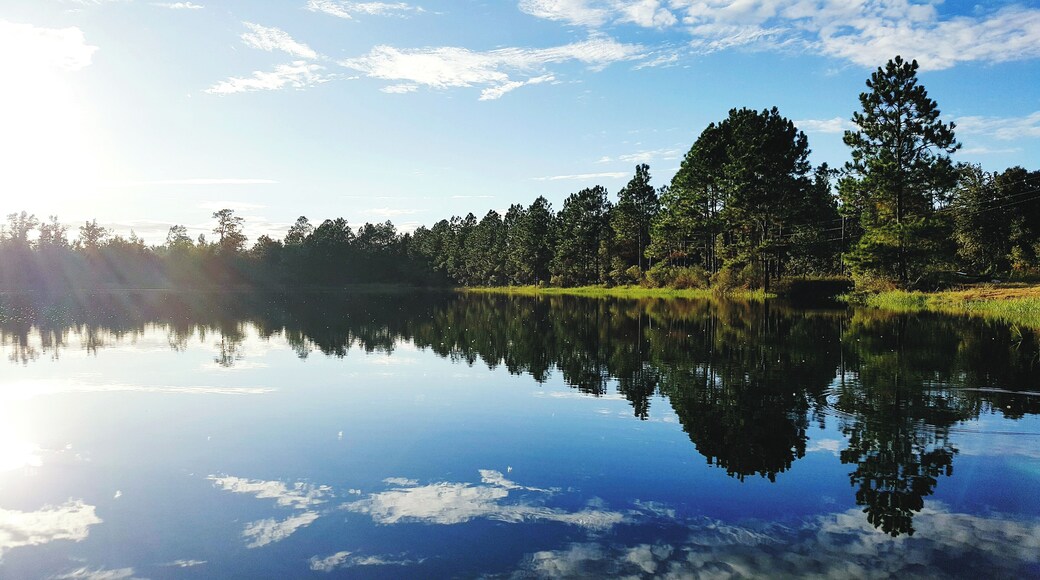 Reflection Of Trees In Lake Against Sky