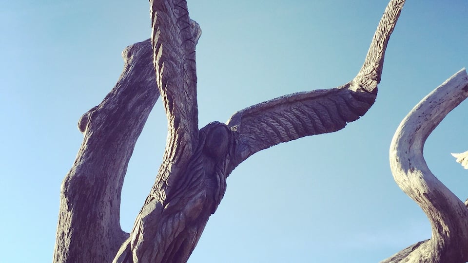 Three people and their dog held on to this oak tree during Hurricane Katrina, and because of that, survived the storm while the surrounding areas were devastated. After the storm, the oak tree died and the survivors asked an artist to carve an angel into what remained of the tree.