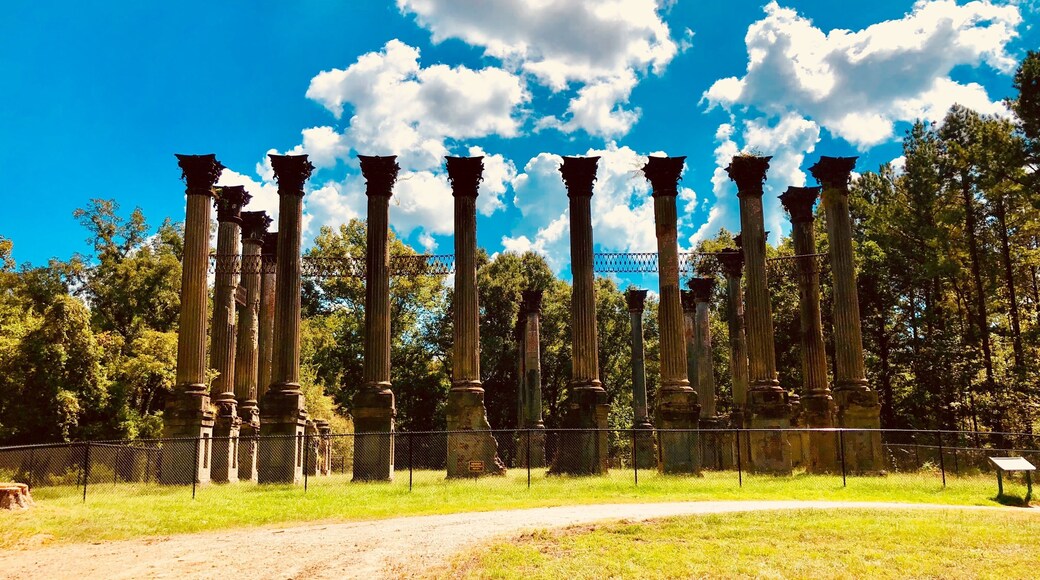 Windsor Ruins