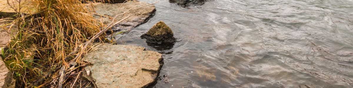 A river with a waterfall in the background, surrounded by rocks and dry grass.