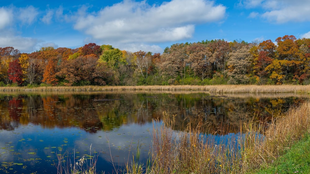 autumn lake and roadway, washington county, mn