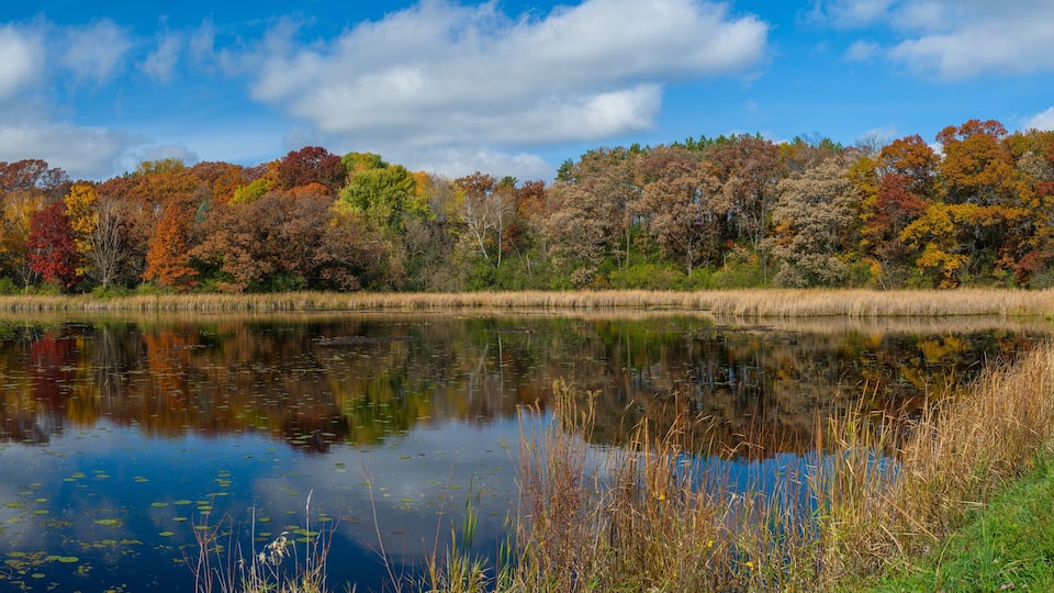 A road alongside a lake with autumn-colored trees and a clear sky.