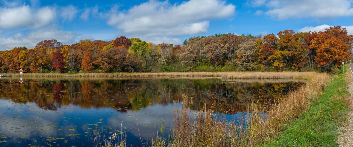 A road alongside a lake with autumn-colored trees and a clear sky.