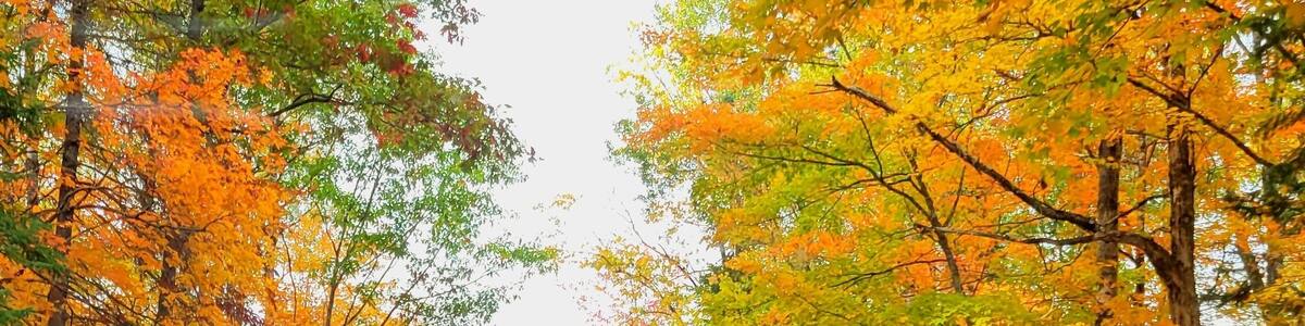 Savanna Portage State Park in McGregor, MN