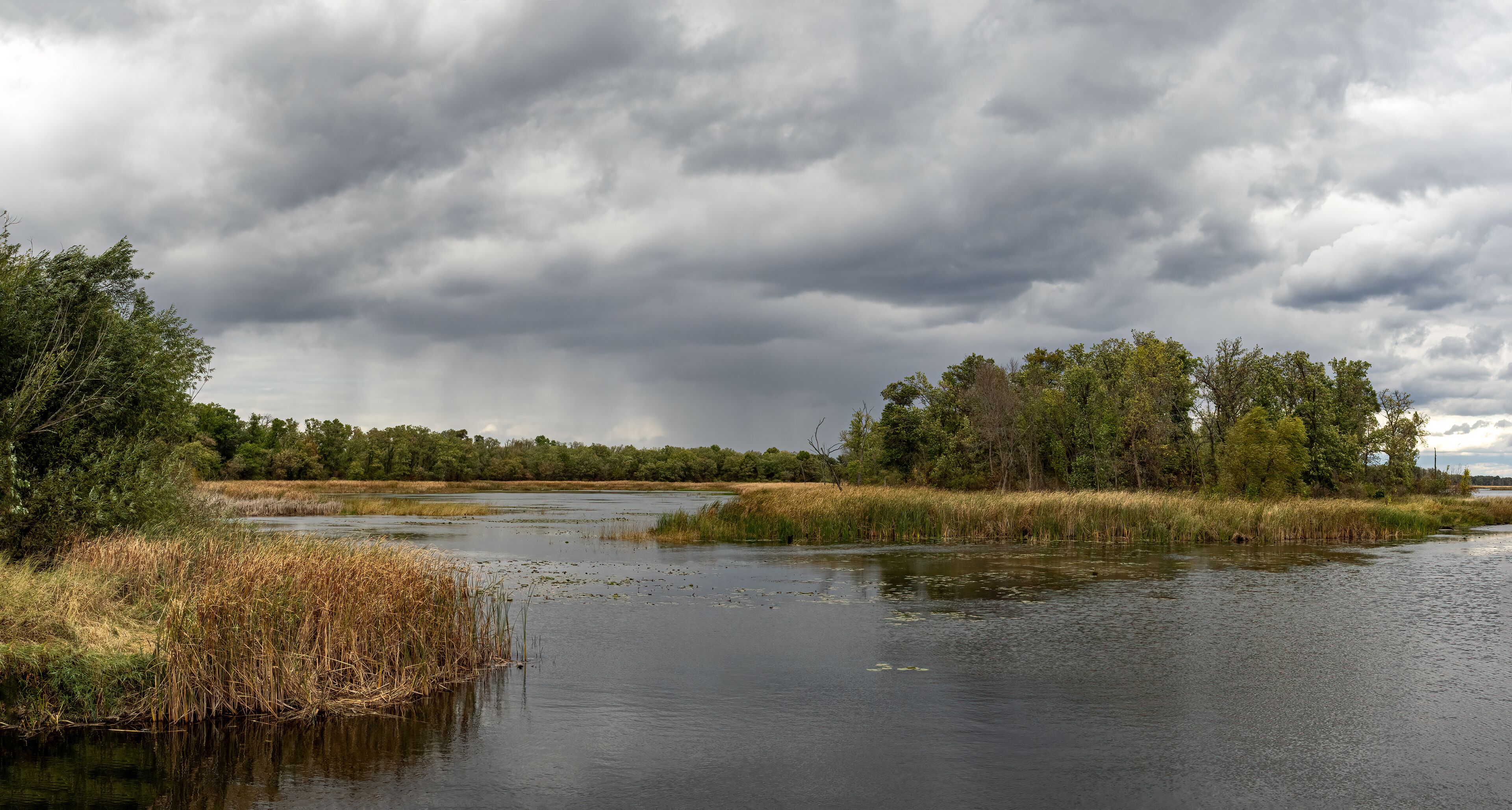 beautiful autumn landscape scenery with colors water clouds trees and grass